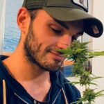 Cannabis e psicosi: tra realtà e titoli clickbait